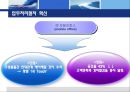 한국 미국 IBM의 조직개발 구조조정 24페이지