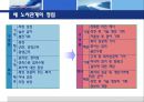 한국 미국 IBM의 조직개발 구조조정 28페이지