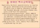 독일의 장애인 복지 파워포인트 자료 13페이지