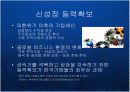 글로벌 비즈니스 환경의 변화와 한국기업의 신사업 내부진출 전략 - 유기적 성장과 비유기적 성장의 방법론과 대안 PPT 3페이지