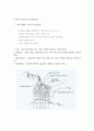 해부학리포트-척추 2페이지