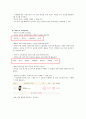 웹사이트 분석 21페이지