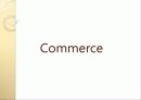 웹사이트 분석 PPT 18페이지