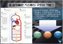 심장혈관 시스템의 구조와 기능 6페이지