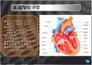 심장혈관 시스템의 구조와 기능 7페이지