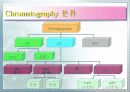 Ion Chromatography 파워포인트 4페이지
