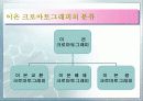 Ion Chromatography 파워포인트 12페이지