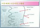 Ion Chromatography 파워포인트 13페이지