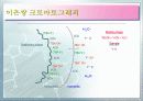 Ion Chromatography 파워포인트 14페이지