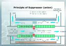 Ion Chromatography 파워포인트 24페이지