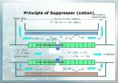 Ion Chromatography 파워포인트 25페이지