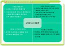 온실가스 규제 논의(기후 협약) 와 탄소 배출권 시장  16페이지