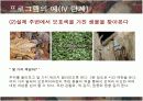 유아미술: 4단계 창의성 프로그램(ppt) - A+ 6페이지