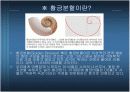 사진의 구도에 대하여 8페이지