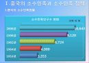 중국소수민족문제티베트 4페이지
