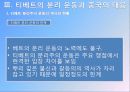 중국소수민족문제티베트 24페이지