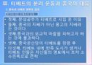 중국소수민족문제티베트 26페이지