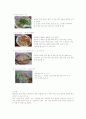 [식생활과문화]베트남 음식문화에 대하여(리포트) 6페이지
