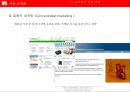인터넷마케팅 전략 (Power Point 발표자료) 29페이지