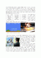 < Skimming 전략 사례연구> SONY의 Playstation 7페이지