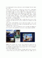 < Skimming 전략 사례연구> SONY의 Playstation 9페이지