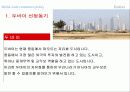 두바이 자유화 현황과 환경 분석 3페이지