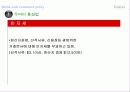 두바이 자유화 현황과 환경 분석 7페이지