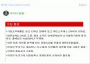 두바이 자유화 현황과 환경 분석 14페이지