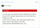 두바이 자유화 현황과 환경 분석 15페이지
