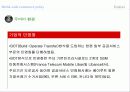 두바이 자유화 현황과 환경 분석 17페이지