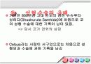 성형수술의 실태와 장단점 및 유의사항 9페이지