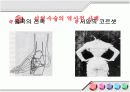 성형수술의 실태와 장단점 및 유의사항 11페이지
