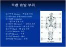 욕창 예방 및 간호 8페이지