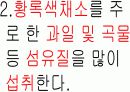 생활습관과 암 19페이지