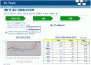 삼성물산의 호주 스프링베일 탄광 진출 사례 연구 14페이지