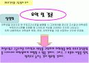 무료 조간신문 구독 실태 조사 19페이지