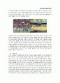 FC서울 사례를 통한 국내 프로축구 마케팅 방안 6페이지