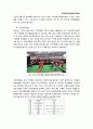 FC서울 사례를 통한 국내 프로축구 마케팅 방안 14페이지