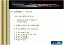 현대자동차 마케팅기획서 12페이지