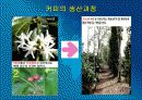 베트남 커피 13페이지