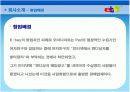 e-bay(이베이)마케팅분석 5페이지