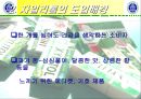자일리톨의 벤치마킹 전략 및 분석 3페이지