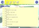 자일리톨의 벤치마킹 전략 및 분석 4페이지