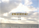 광합성 명반응에대해서 1페이지