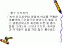 광합성 명반응에대해서 6페이지