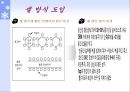 캐논(Canon)의 전략&분석 16페이지