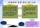 캐논(Canon)의 전략&분석 22페이지