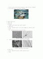 중학교 가정 의파트 5페이지