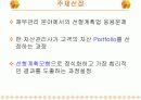 선형계획법을 이용한 자산관리 포트폴리오 3페이지