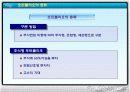 유가증권의 종류와 포트폴리오의 필요성 16페이지